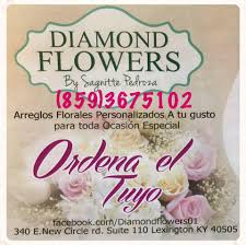 Maybe you would like to learn more about one of these? Diamond Flowers 340e New Circle Rd Suite 110 Lexington Ky 2021