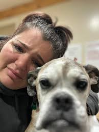 Loss of Pet Boxers to Cancer and Other Illnesses