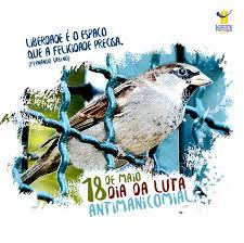 Campanha do dia da luta antimanicomial. Semana Nacional Da Luta Antimanicomial Cfp Cfp