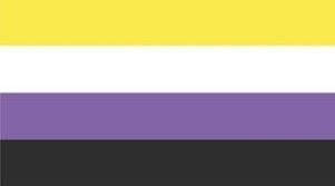 The nonbinary pride flag is one of these wonderful banners. July 14th Is International Non Binary People S Day Desa Karye Daniel