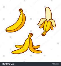 Set Of Cartoon Banana Drawings Single Peeled And Banana Peel On The Ground Vector Clip Art Illustration Collection Cartoon Banana Fruits Drawing Banana Art