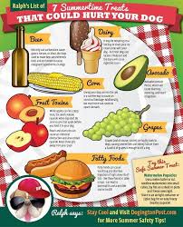 When Ever You May Be Finished Looking At This Try Examining A Huge Inquiry Each Of Us Should Really Be Asking Our Selves Http W Healthy Pets Pet Hacks Dogs