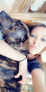 Pets from Piedmont area in this group. Please contact Greenville County  Animal Care.