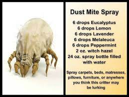 Dust Mite Spray Essential Oils Cleaning Natural Cleaning Products Cleaning Household