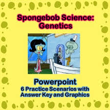 1.for each genotype below, indicate whether it is a heterozygous (he) or homozygous (ho). Spongebob Genetics Worksheets Teaching Resources Tpt