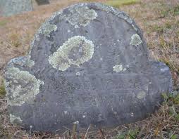 Sarah Warren Gibbs Cushman (1682-1716)