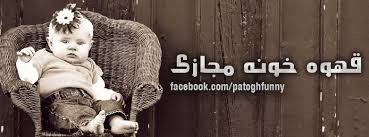 Image result for tbn:Ao0Usy--_pPGEM::www.mekshat.com/pix/upload/images49/mk42658_houssparrow.jpg