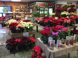 Hours may change under current circumstances Florist And Garden Gifts Mad River Valley Vt Vee S Flowers And Garden Shop