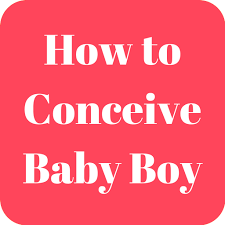 How can you guarantee conceiving a baby boy? How To Conceive Baby Boy Apk 1 2 Download For Android Download How To Conceive Baby Boy Apk Latest Version Apkfab Com