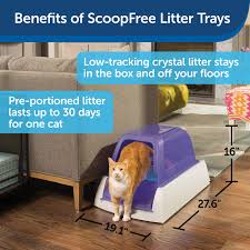 Our other cat never seems to have any problems. Petsafe Scoopfree Ultra Automatic Self Cleaning Hooded Cat Litter Box Includes Disposable Trays With Crystal Litter And Hood 2 Colors Ultra Pal00 14243 Buy Online At Best Price In Uae Amazon Ae