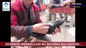 Istanbul Edirnekapi Kus Pazari Youtube