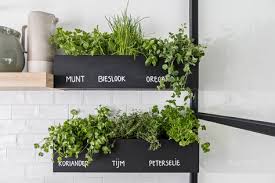 Kruidenbakjes Kruidentuin Binnen Kruidentuin En Eetkeuken