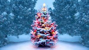 Come and celebrate south africa's heritage day with a family day picnic at castle hill heritage park. History Of Christmas Trees History