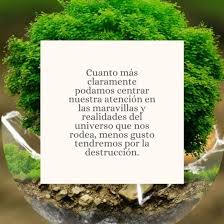 Siempre me has enseñado que somos hijos de dios y que debemos ser obedientes para obtener muchas bendiciones. Feliz Dia De La Tierra 2021 Dia Internacional De La Madre Tierra Saberimagenes Com