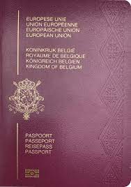 Zelfs de belgische burgers die in het buitenland verblijven, kunnen een belgisch. Belgium Passport Dashboard Passport Index 2021