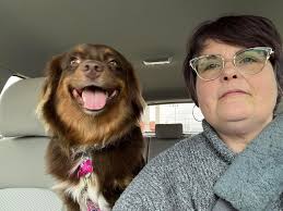 Let's welcome our new members! Thank you for caring enough about our  animals that you decided to join this group and help reunite them with  their families! Just as a reminder, here