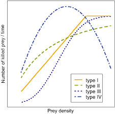 It doesn't depend for shelter or reproduction except for food. An Updated Perspective On Spiders As Generalist Predators In Biological Control Springerlink