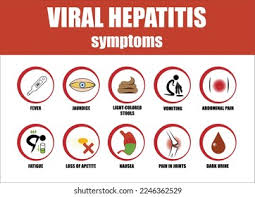 Image result for hepatitis symptoms