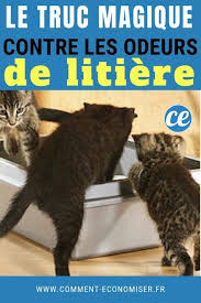 L Ingredient Magique Contre Les Odeurs De Litiere Le Bicarbonate En 2020 Litiere Chien Astuces Pour Chat Enlever Odeur Urine Chat