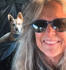 Teddy Graham (@teddstergram) • Instagram photos and videos