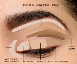 apply eyeshadow eye makeup diagram