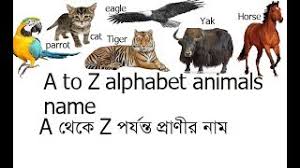 A To Z Alphabet Animals Name Animals Name All Alphabet Animals Name In English With Bengali Youtube