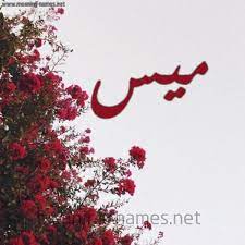 ميس شكل 18 صوره الورد الأحمر للإسم بخط رقعة كتابة على الورد 2021