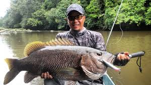 5 danau di malaysia yang wajib dikunjungi. Ngobrol Seru Pengalaman World Class Angler Bang Ocos Spotmancing Com