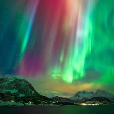 Senja Norway Aurora Borealis Northern Lights Aurora Boreal Beautiful Norway