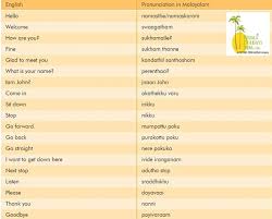 Learn Various Malayalam Pronunciation With Kerala Holidays Learn Now Http Www Keralaholidaysindia Sms Language English Language Learning Learning Languages