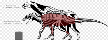 Spinosaurus can live in both water and land. Tyrannosaurus Spinosaurus Dinosaur Size Allosaurus Nanotyrannus Dinosaur Mammal Carnivoran Tyrannosaurus Png Pngwing