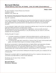Business Development Cover Letter Sample
