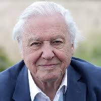 Last year, the uk national this famous boat is not the first time david attenborough has been honoured as a namesake, and it's a natural fit that the man cherished for. David Attenborough The Personality Database Pdb Naturalism