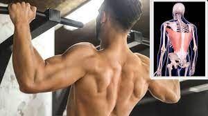 Es sei an dieser stelle nach der übung benannte gerät von hammer strength genannt, das man auch im unten eingebundenen video sehen kann. 5 Latissimus Ubungen Fur Zuhause Mit Ohne Gerate Fit Trotz Family