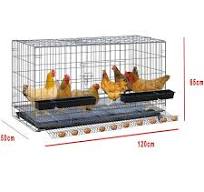 Amazon.com: Jaula plegable para aves de corral con bandeja ...