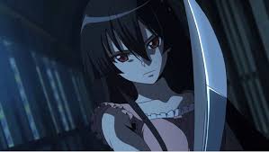 Akame Ga Kill Episode 11 Stylish Akame Ga Akame Ga Kill Anime