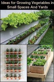 10 Ideas For Growing Vegetables In Small Spaces And Yards Growing Vegetables Small Space Gardening Balcony Plants Ideas