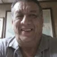 PDF) Nada entre tiburones