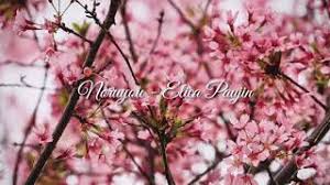 A d bm bila rindu,terkenang mu sayang terasa sayu c# f#m a syahdunya jiwaku bila malam,makin kelam d e jauh terbang diriku melayang a d bm aku rindu,sentuhan mu ku rasa sayu c# f#m a d inginkan jiwamu selubungi,jiwa ini,bawa ku dalam pelangi e a. Chords For Noruyou Elica Paujin Lirik