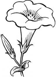 Dibujos De Flores Para Colorear 02 Png 300 409 Esbozar Dibujos Como Dibujar Cosas Dibujos