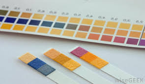 Check spelling or type a new query. How Do I Neutralize Sulfuric Acid With Pictures