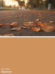 #sherwinwilliams #asksherwinwilliams #paintinspiration #paint #diy #orange #orangepaint. Embrace The Softer Side Of Orange With Autumnal Sw 6361 Featuring Sub Sherwin Williams Paint Colors Orange Paint Colors Bathroom Paint Colors Sherwin Williams