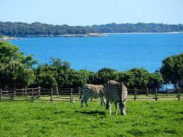 Parcs tab handler parcs tab handler. Safari In The Middle Of Europe Answer Is National Park Brijuni