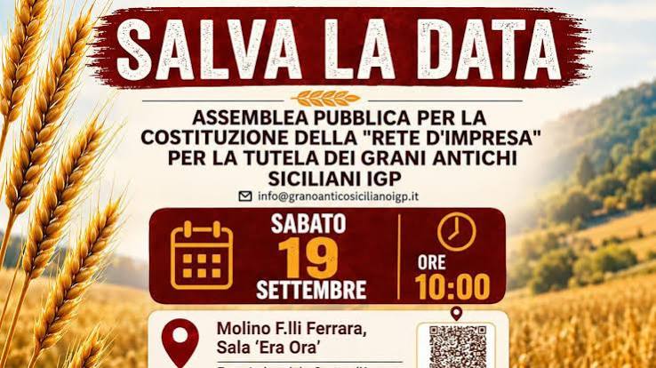 Grani antichi siciliani, a Serradifalco nasce la Rete d'impresa per l'Igp