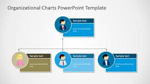 024 The Hierarchical Organizational Chart Template Slide Ppt