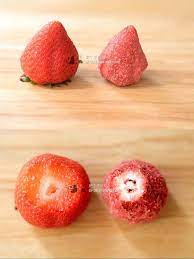 充滿仙氣的漸層草莓巧克力片凍乾甜心草莓粉嫩配色gradient pink chocolate freeze dried strawberry 肥丁手工坊 freeze dried strawberries dried strawberries