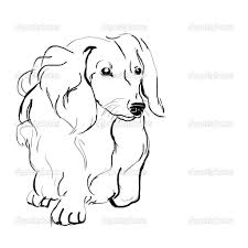 You can print or color them online at getdrawings.com for absolutely free. Cute Long Haired Dachshund Drawing Novocom Top