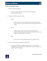 Provide the correct order for the stages of mitosis. Mitosis And Meiosis Lab Pre Lab Questions What Are Chromosomes Made Of A Chromosomes Are Each Studocu