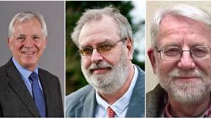 Which candidates are standing in the Norfolk County Council elections and  who should you vote for?