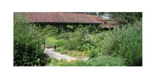 Mit ausstellungen, öffentlichen und privaten führungen und regelmässigen publikationen erfährt das interessierte publikum viel spannendes über sie. Es Wird Eifrig Geklettert Im Botanischen Garten St Gallen Ostschweizerinnen Ch